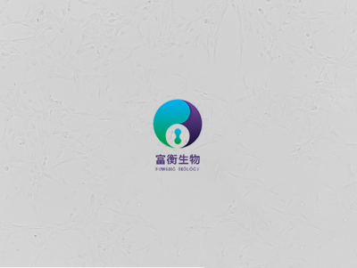 小鼠小梁網細胞